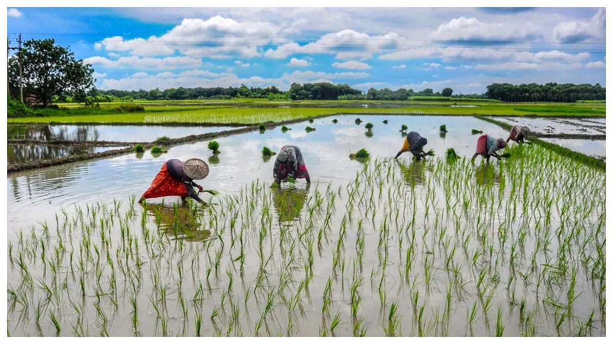 Maharashtra Govt Approves ₹1,339 Crore Relief For 19.22 Lakh Farmers Affected By Monsoon Floods