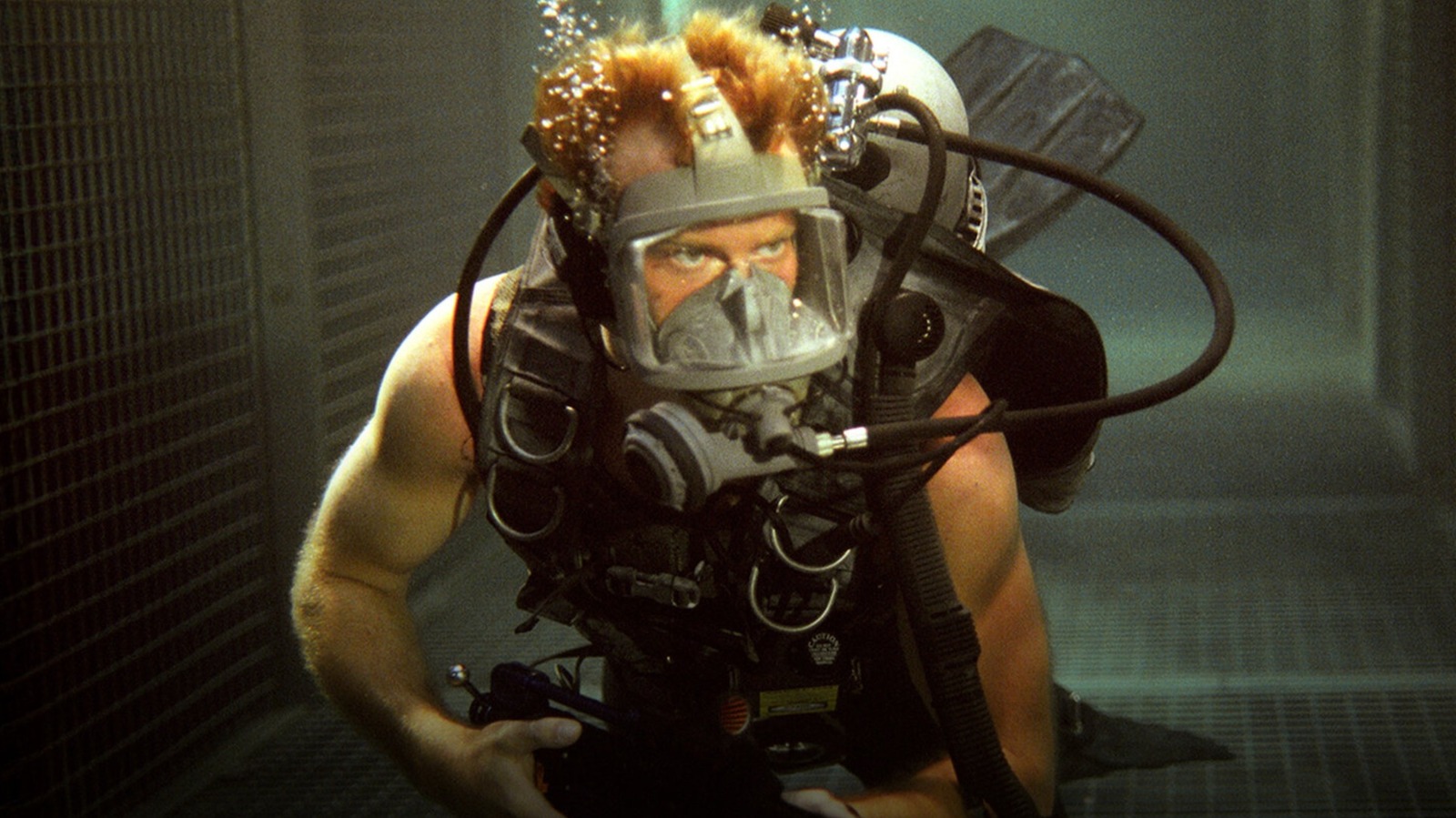 How Deep Blue Sea’s Director Really Feels About The Movie’s Sequels