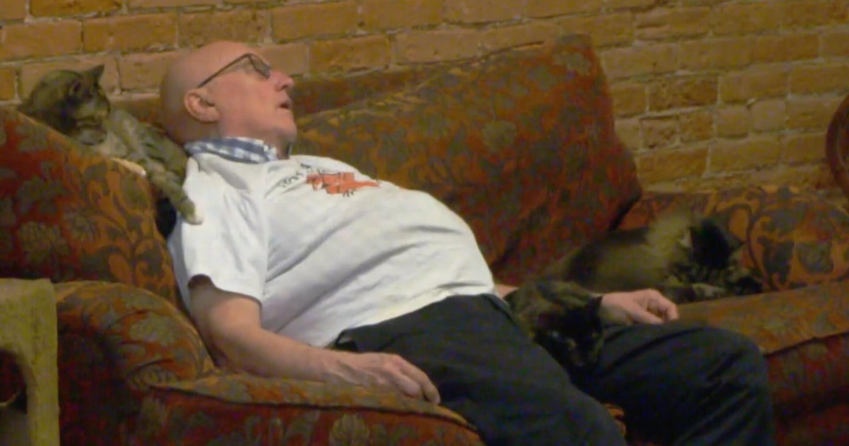 Man’s cat sanctuary naps still helping rescue expand years after they first went viral